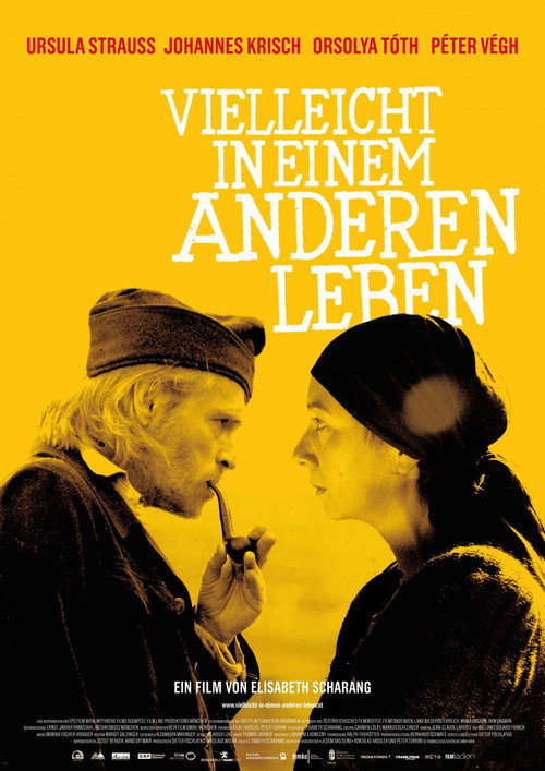Movie poster for Vielleicht in einem anderen Leben (2011)