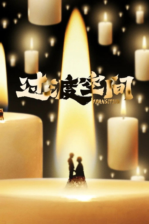 Movie poster for Transition