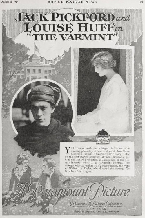 Movie poster for The Varmint (1917)