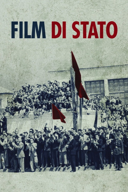 Movie poster for A State Film (2026)