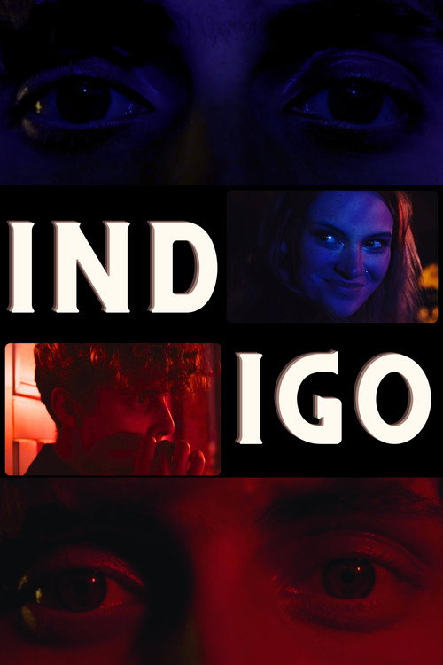 Movie poster for Indigo