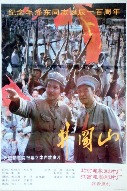 Movie poster for 井冈山 (1993)