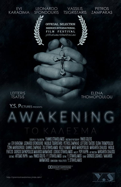 Movie poster for Awakening (2016)