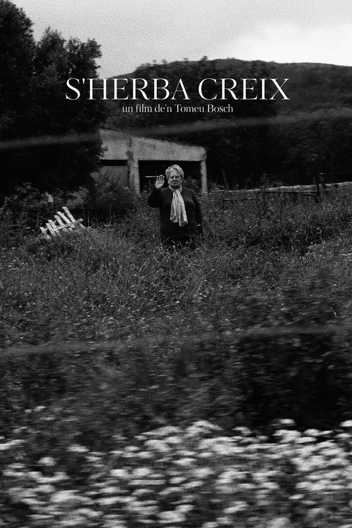 Movie poster for The Grass Grows (2025)