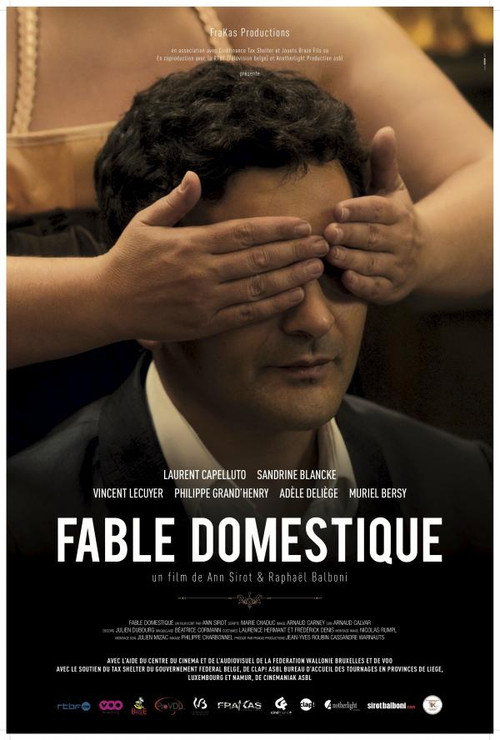 Movie poster for Domestic Fable (2012)