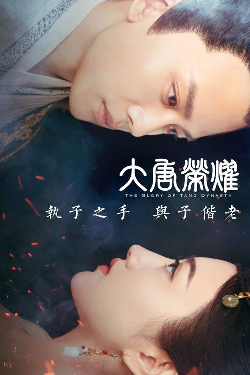 大唐荣耀 poster