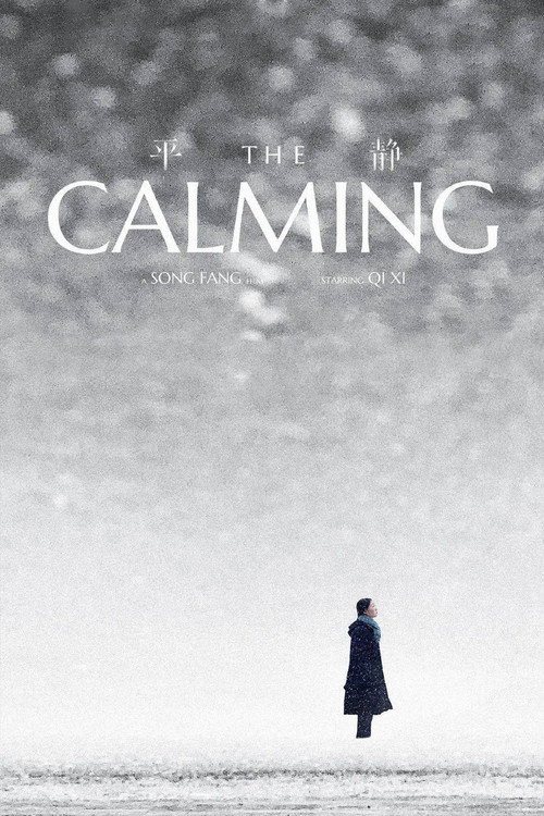 Movie poster for The Calming (2020)