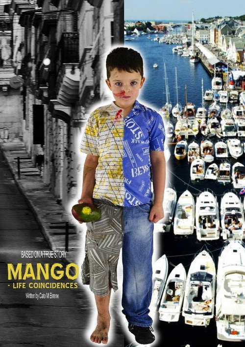 Movie poster for Mango: Lifes Coincidences