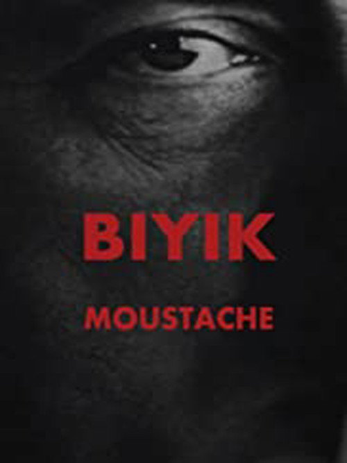 Movie poster for Bıyık (2013)