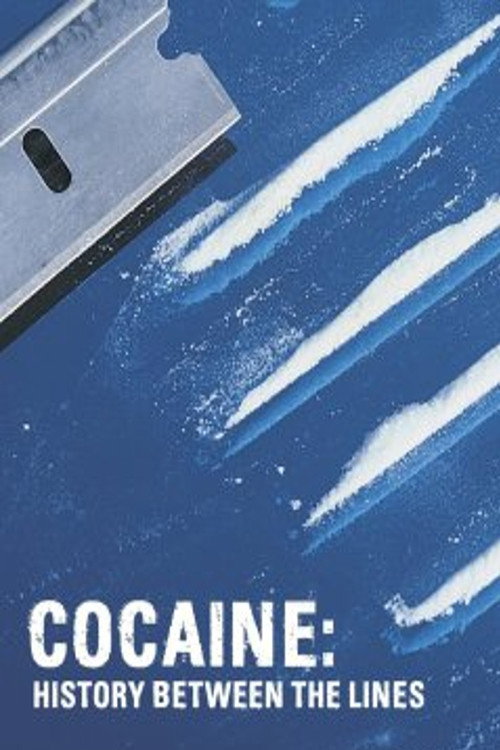 Movie poster for Cocaine: History Between the Lines (2011)
