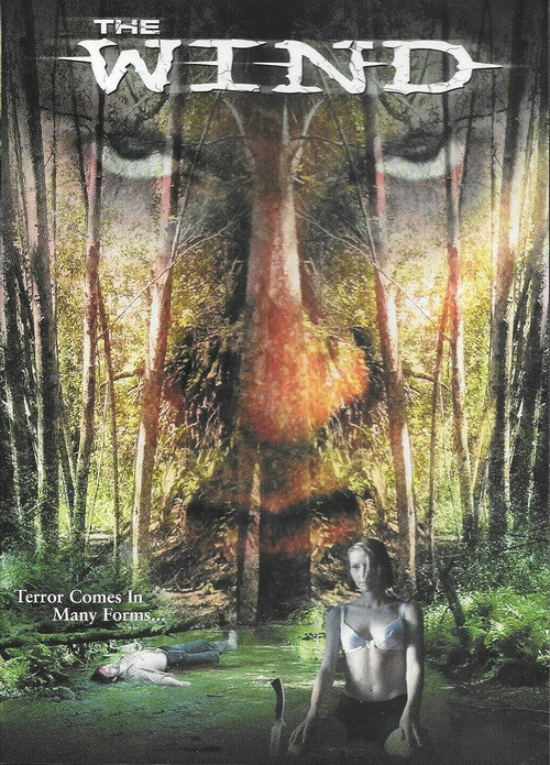 Movie poster for The Wind (2001)