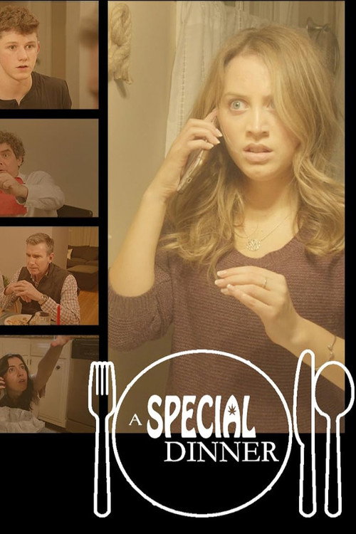 Movie poster for A Special Dinner
