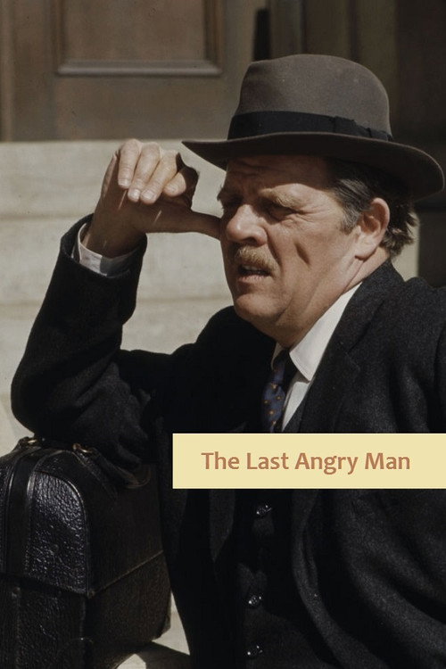 Movie poster for The Last Angry Man (1974)