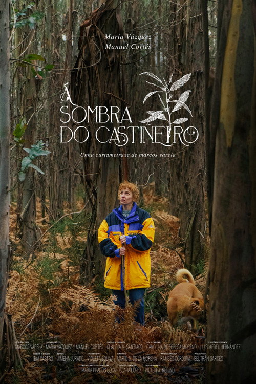 Under the Chestnut Tree poster