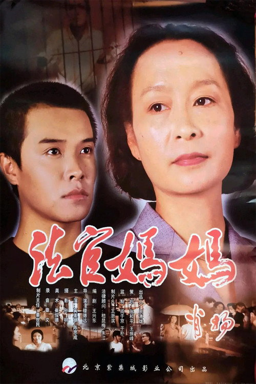 Movie poster for 法官妈妈 (2001)