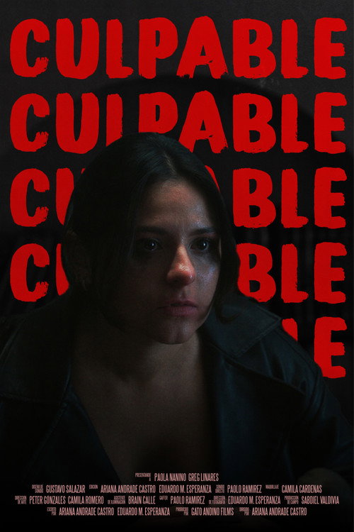 Movie poster for Culpable (2025)