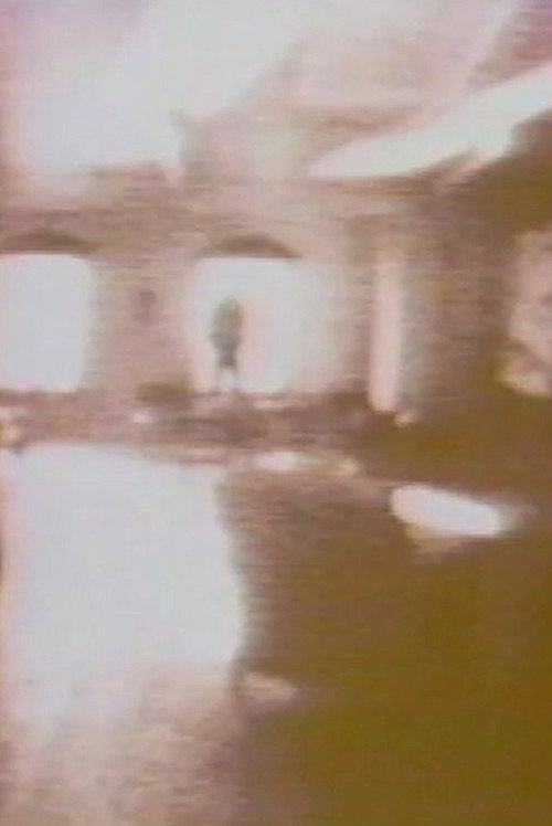 Movie poster for The Divine Right (1985)