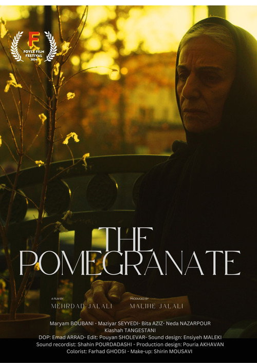 Movie poster for Anaar