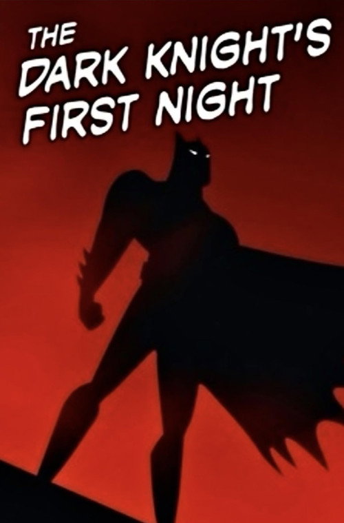Movie poster for The Dark Knight's First Night (1991)