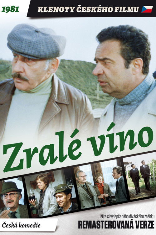 Movie poster for Mature Wine (1981)