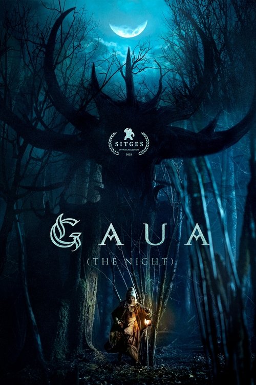 Movie poster for Gaua (The Night) (2025)