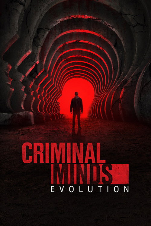 Series poster for Criminal Minds (2005)