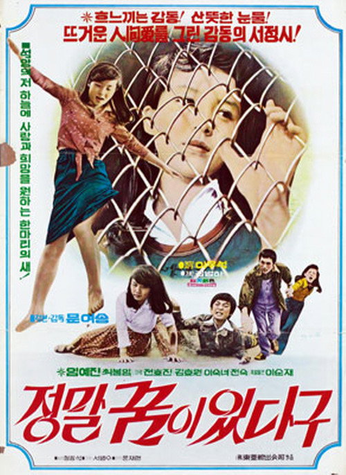 Movie poster for I Really Have a Dream (1976)