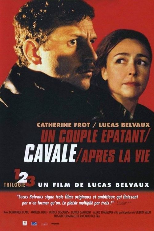 Movie poster for On the Run (2003)