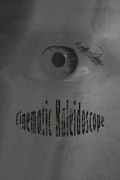 Movie poster for Cinematic Kaleidoscope (2022)