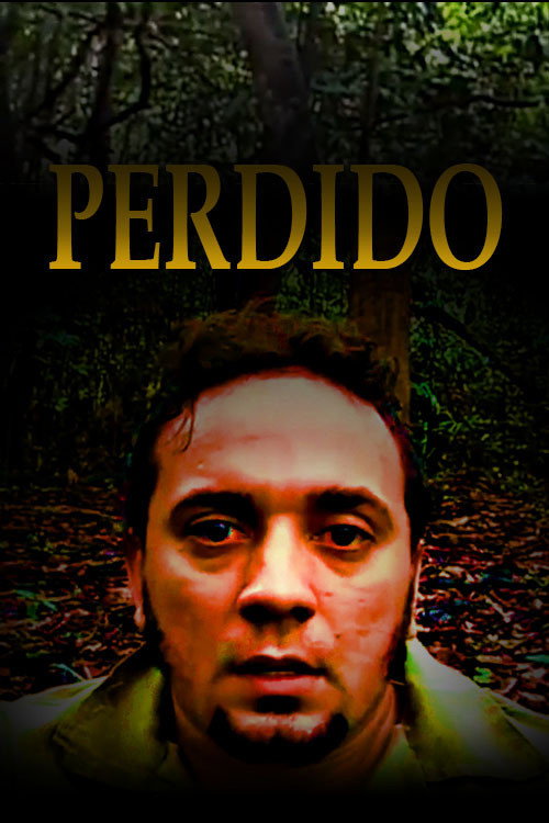 Movie poster for Perdido (2010)