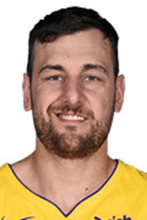 Photo of Andrew Bogut, Acting