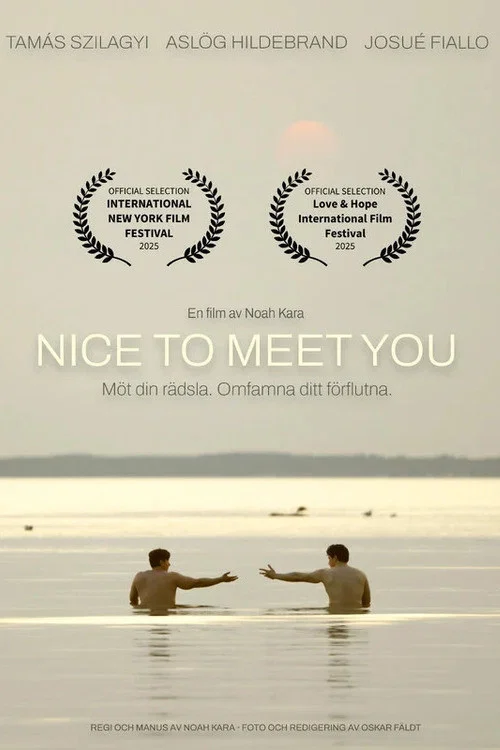 Movie poster for Nice to Meet You (2026)