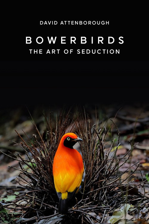 Movie poster for Bowerbirds: The Art of Seduction (2000)