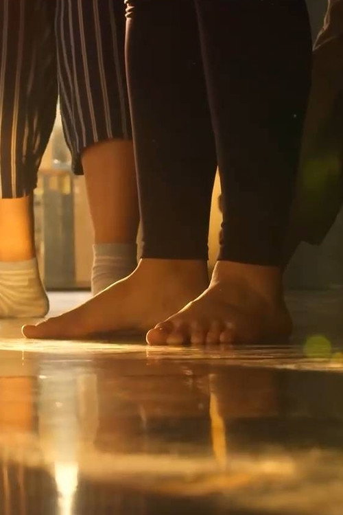Movie poster for Grounding (2025)