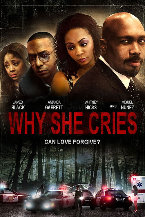 Movie poster for Why She Cries (2015)