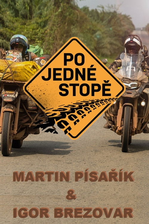 Po jedné stopě poster