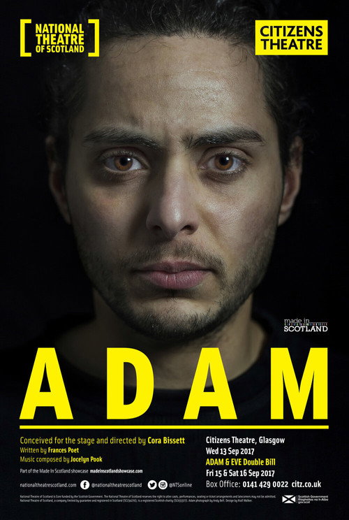 Movie poster for Adam (2021)
