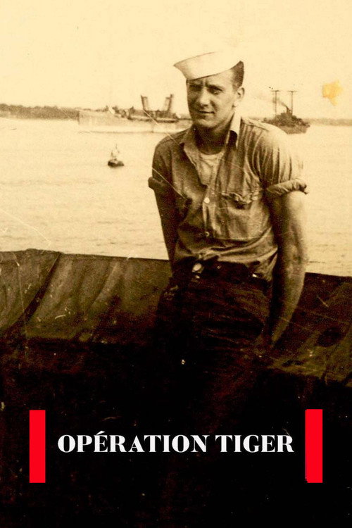 Movie poster for Exercise Tiger (2014)