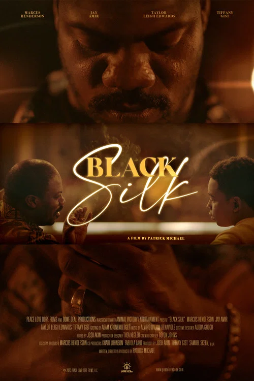 Movie poster for Black Silk (2023)