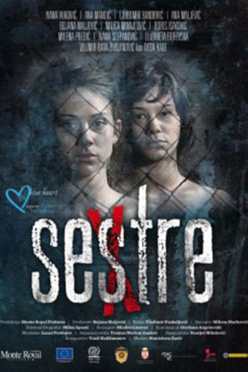 Movie poster for Sisters (2011)