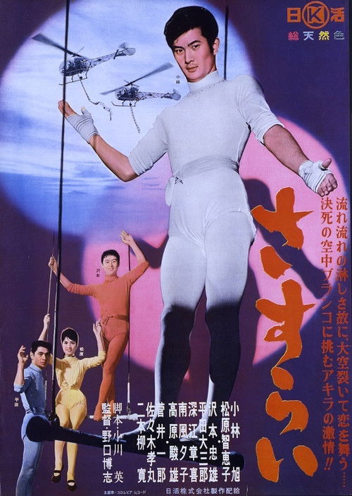 Movie poster for Love in the Air (1962)