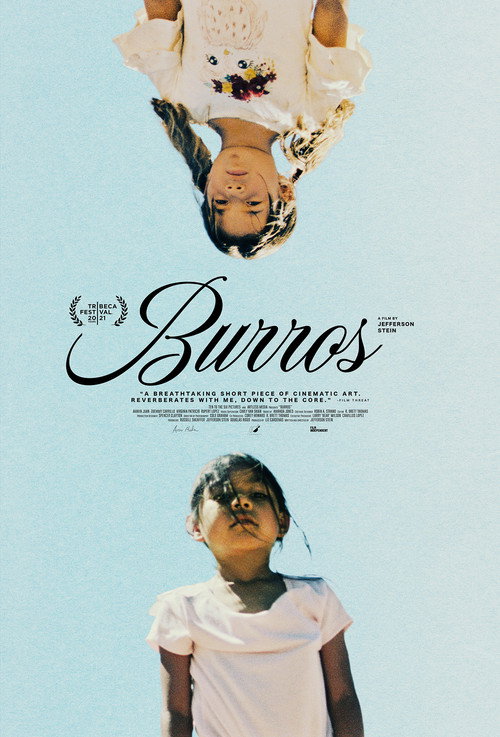 Movie poster for Burros (2021)