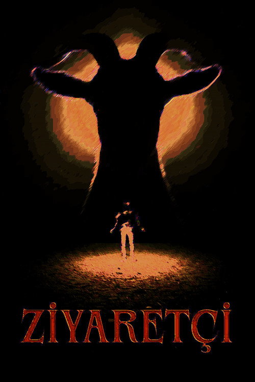 Movie poster for Visitor (2025)