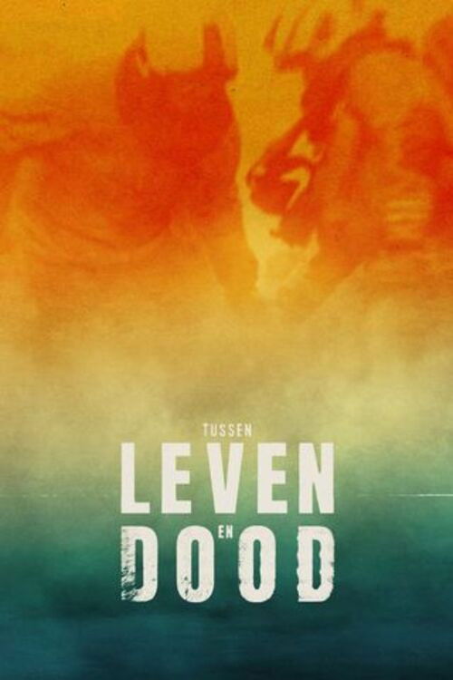 Tussen Leven en Dood poster