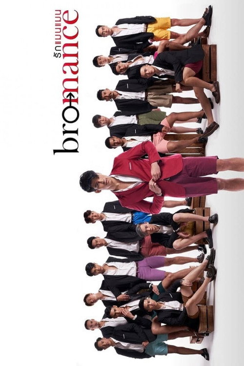 Bromance poster