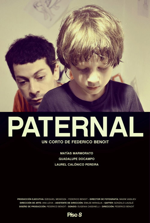 Movie poster for The Fatherly (2016)