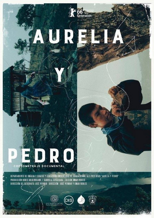 Movie poster for Aurelia y Pedro (2016)
