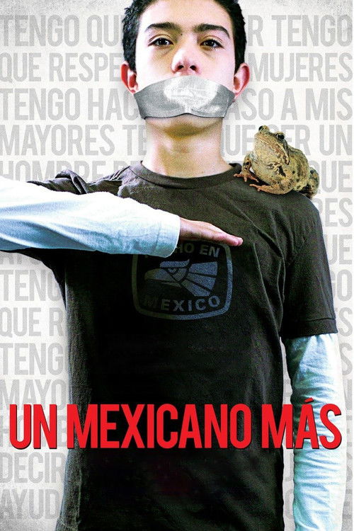 Movie poster for Another Mexican (2010)