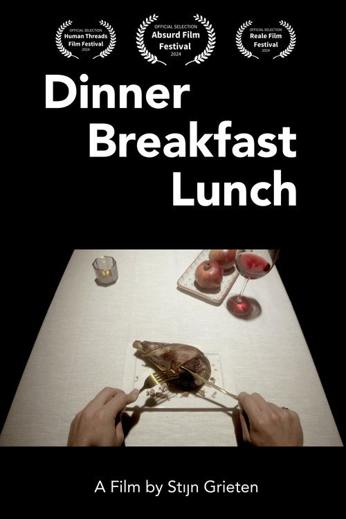 Movie poster for Dinner Breakfast Lunch (2024)