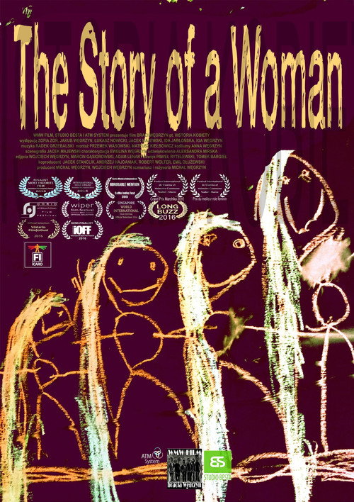 Movie poster for The Story of a Woman (2015)